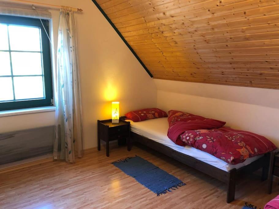 Trollhus - Grosses Familienfreundliches Ferienhaus Born Exteriér fotografie
