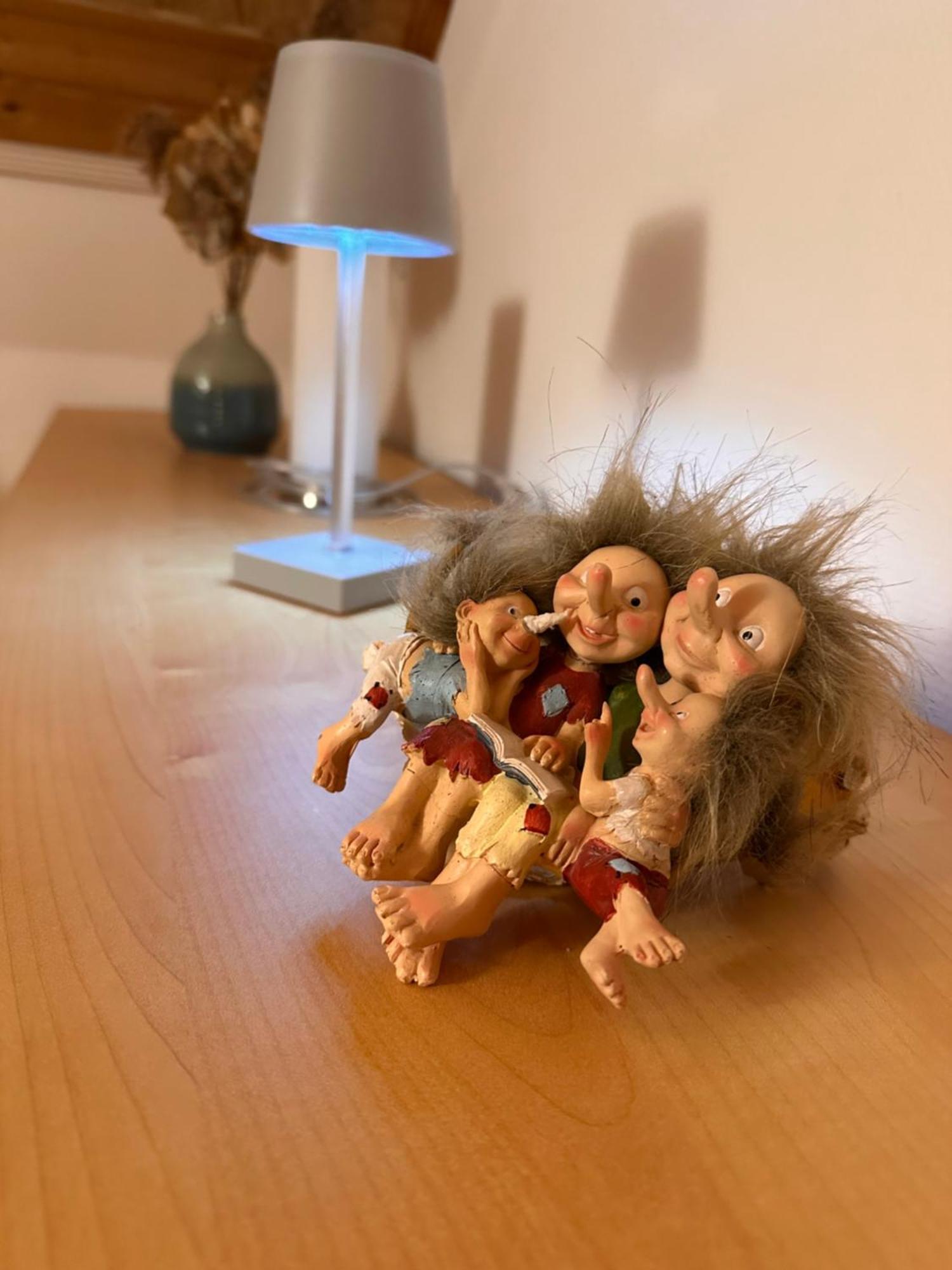 Trollhus - Grosses Familienfreundliches Ferienhaus Born Exteriér fotografie