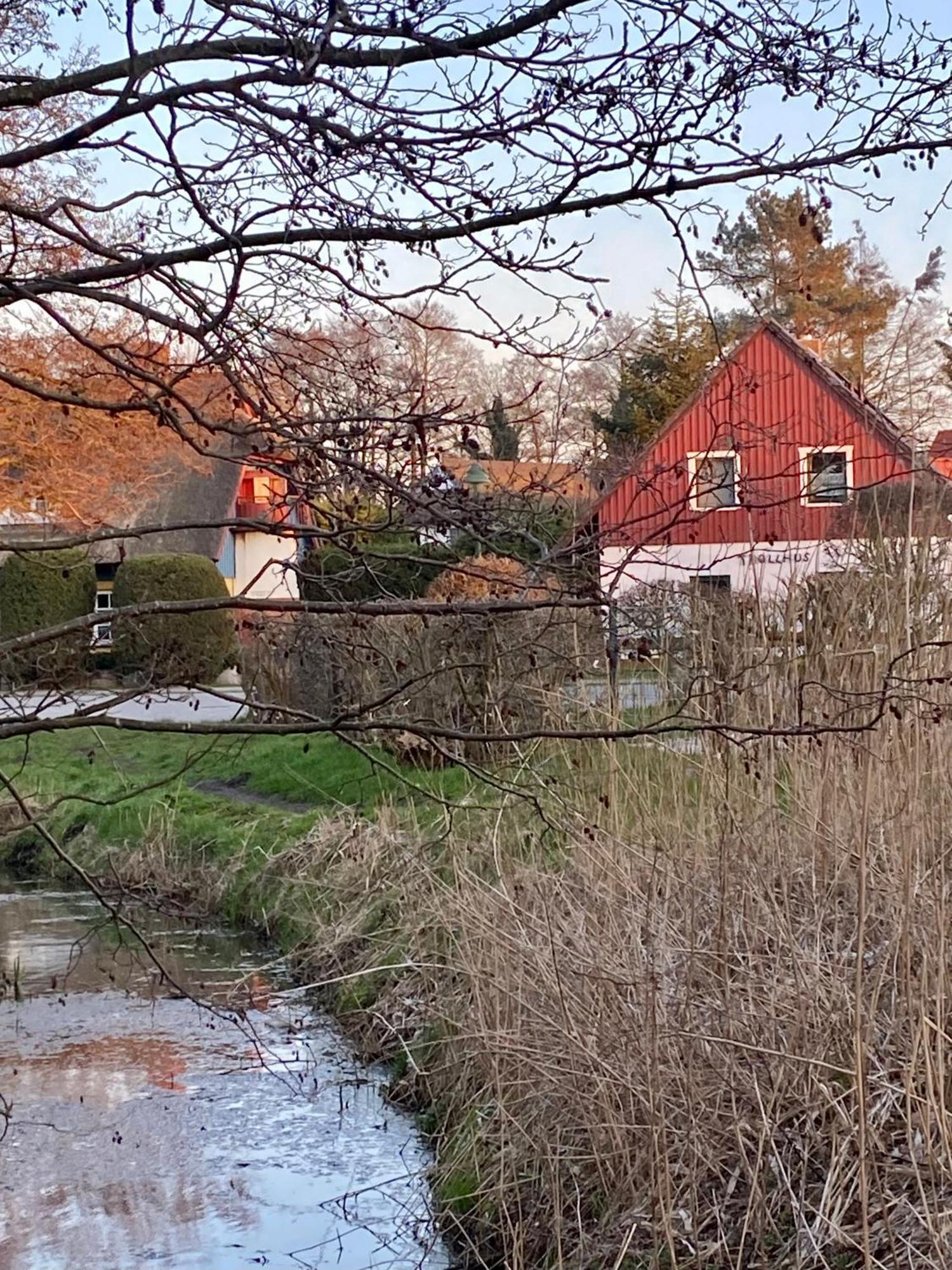 Trollhus - Grosses Familienfreundliches Ferienhaus Born Exteriér fotografie